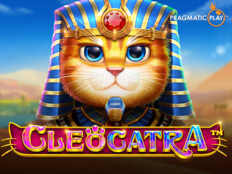 Super cat casino {VZQCD}8